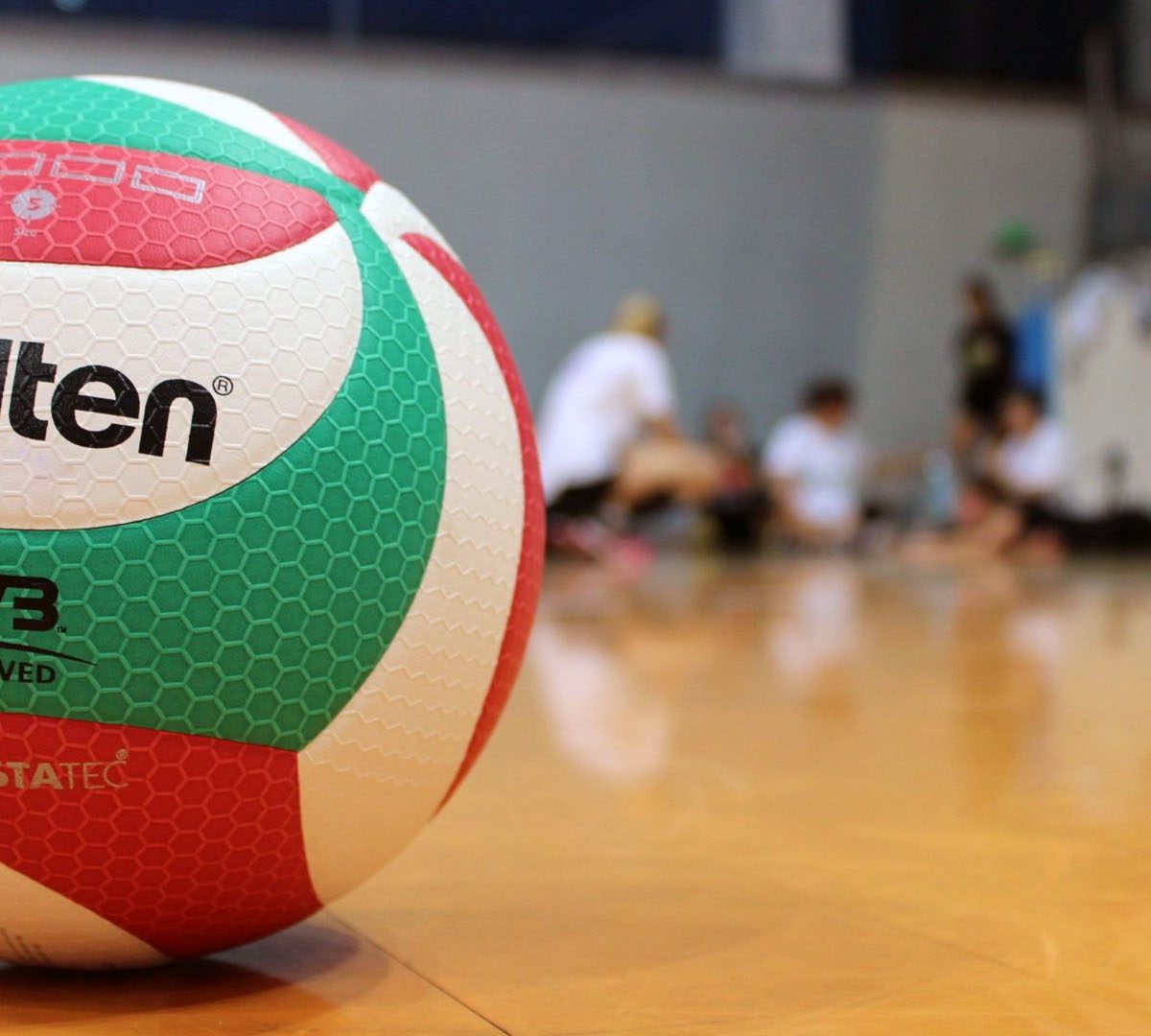 Selecção Portuguesa de Voleibol - Gondomar Junho 2019
